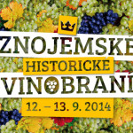 ZHV2014_logo