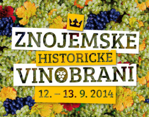 ZHV2014_logo