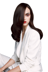 GLOSS_MODEL2