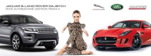 veresova_bigboard_dajbych