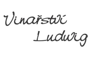 vinastvi ludwig