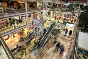 Atrium Flora_2