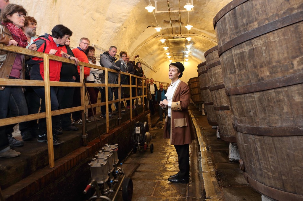 festivalová prohlídka plzeňského pivovaru, návštěvníci procházejí pivovarským sklepem