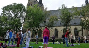 vegefest