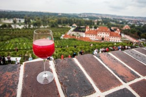 Vinobraní_sv._Kláry
