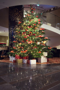 Grand_Hotel_River_Park_Bratislava-Vánoční_výzdoba