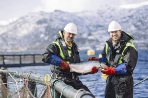 Lakseoppdrett. Foto: Marius Fiskum © Norges sjømatråd