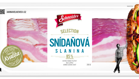 FOLIE Schneider SELECTION vanicky SLANINA 280,5x133,33 v02