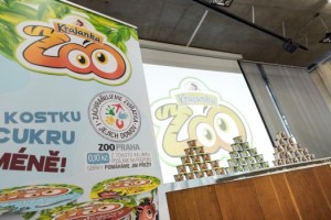 uvodni foto