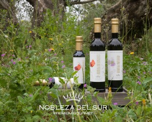 NOBLEZA DEL SUR