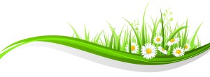 image Liftea