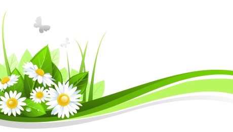 image Liftea bylinky