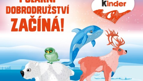 kinder_zoo