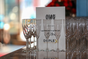 Duplex party