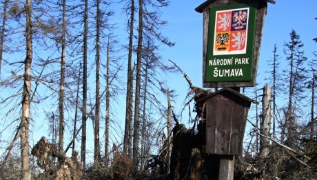 Národní park Šumava