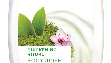 Dogma_Matcha_Awakening_ritual