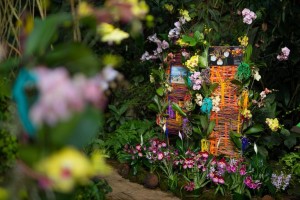 Výstava_orchidejí_Miniatury_a_giganti_Ekvádoru_2020