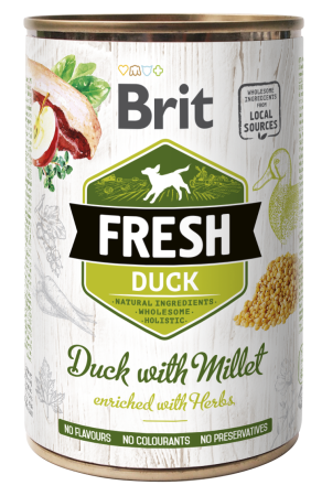 FRESH_duck