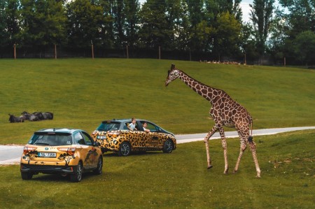 Safari_DvurKralove_Toyota