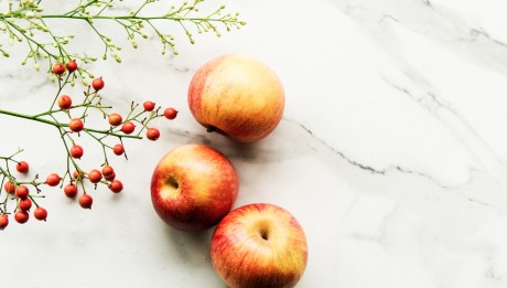 Image_foto_Zdroj_Unsplash