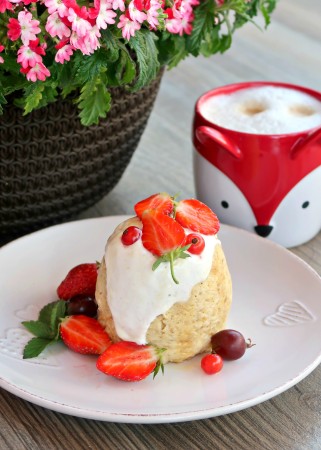 Mugcake1