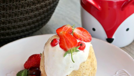 Mugcake1