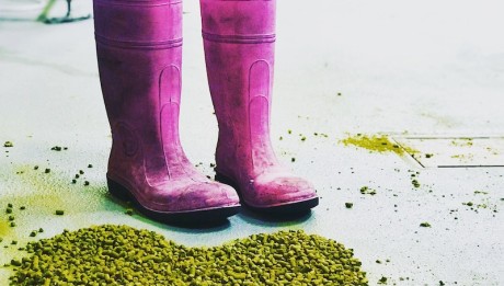 Pink_Boots