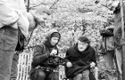 FAMU slaví 75. výročí vzniku spuštěním vlastního filmového portálu