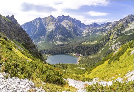 Vysoké Tatry