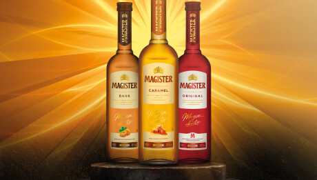 image foto Magister