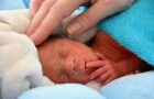 Spánek a náruč rodiče tvoří celý svět předčasně narozených miminek