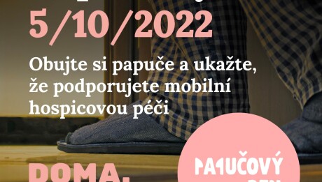 vizuál
