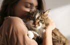 Stereotypy o majitelích koček už dávno neplatí. Víte, jací jsou doopravdy?