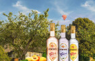 Léto ve znamení broskví a ginu s tonicem. Vyzkoušejte českou novinku Dynybyl Gin Nectar s příchutí meruněk a broskví