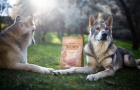Nové receptury holistického krmiva vyrobené pouze z čerstvého masa uspokojí potřeby všech psů od štěněte po seniora