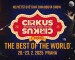 Cirkus Cirkus festival