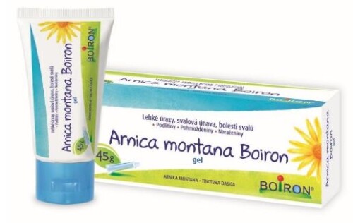 Arnica