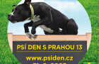 S láskou k pejskům – každá stovka dobrá