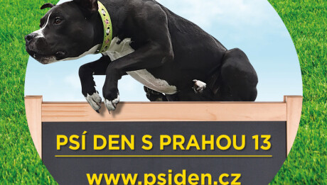 Logo_Psí_den