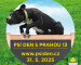 Logo_Psí_den