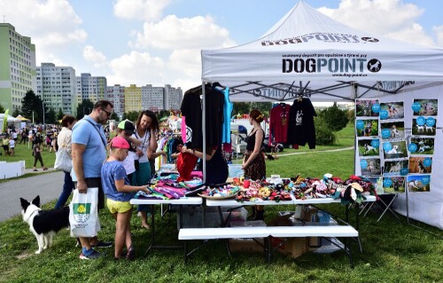 útulek_Dogpoint