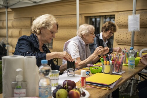 Fresh_Senior_Festival