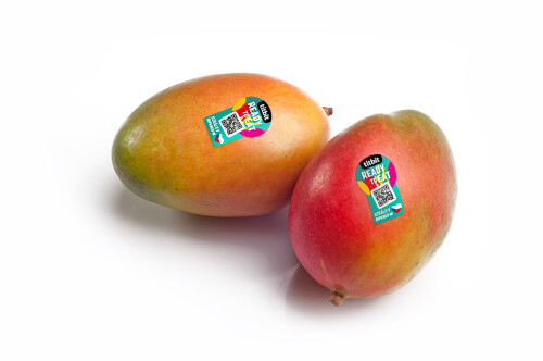 Mango Keitt RTE