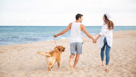Back,View,Of,Happy,Joyful,Young,Couple,Running,On,The