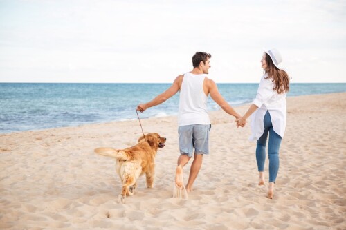 Back,View,Of,Happy,Joyful,Young,Couple,Running,On,The