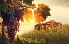 Osmnáctý ročník Vinobraní na Grébovce bude ve znamení království českého