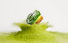 Trendy matcha, retro šunková pěna. Věnečky Janeček rozšiřují sladkou i slanou řadu o nové příchutě