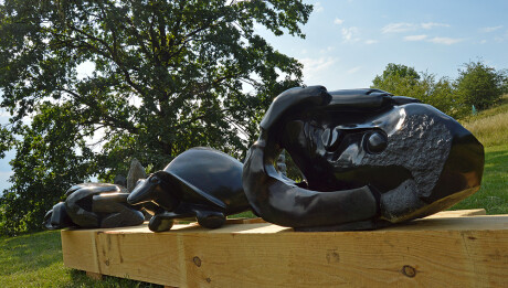 Africke-sochy-Botanicka-zahrada-2018-02