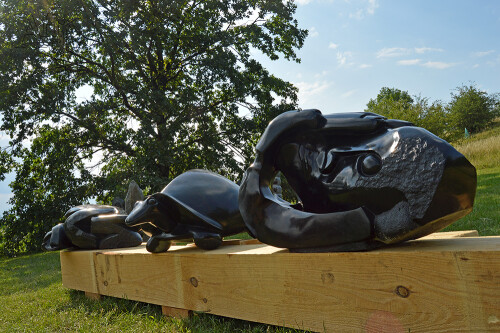 Africke-sochy-Botanicka-zahrada-2018-02