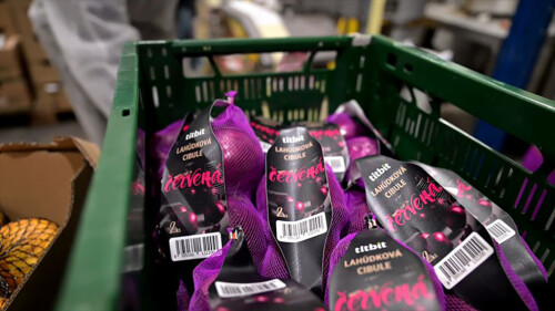 titbit_cibule-cervena_sitky